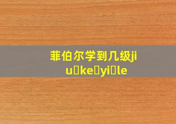 菲伯尔学到几级jiu ke yi le